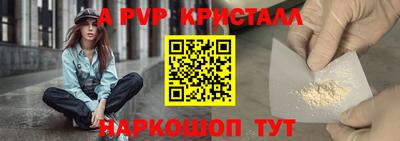 гашик Будённовск