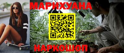 гашик Будённовск