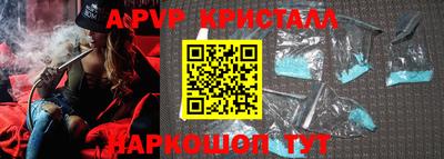 гашик Будённовск