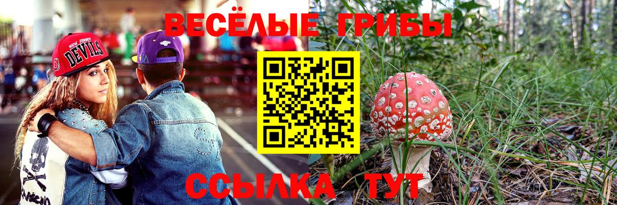 Галлюциногенные грибы GOLDEN TEACHER  Вход с VPN  Галлюциногенные грибы GOLDEN TEACHER  Костомукша 