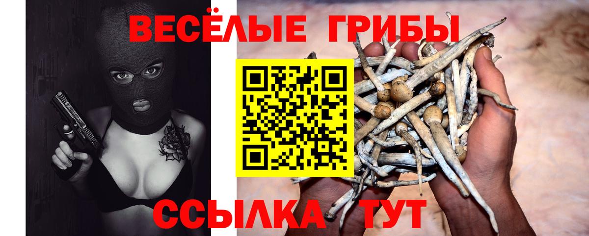 Псилоцибиновые грибы ЛСД Костомукша
